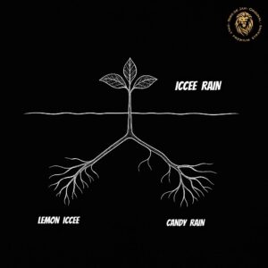 ICCEE RAIN
