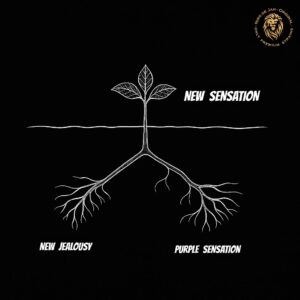NEW SENSATION