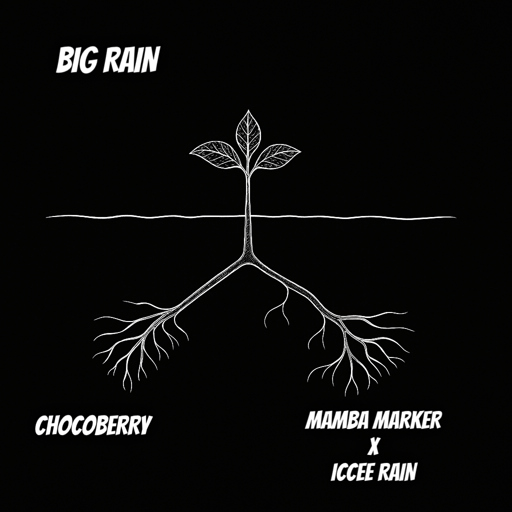 BIG RAIN