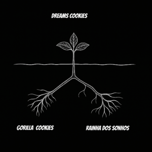 DREAMS COOKIES