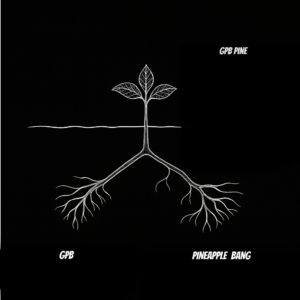 GPB PINE
