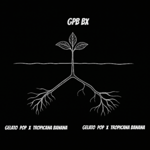 GPB BX