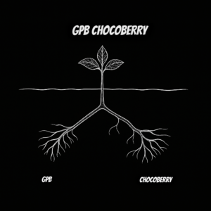 GPB CHOCOBERRY