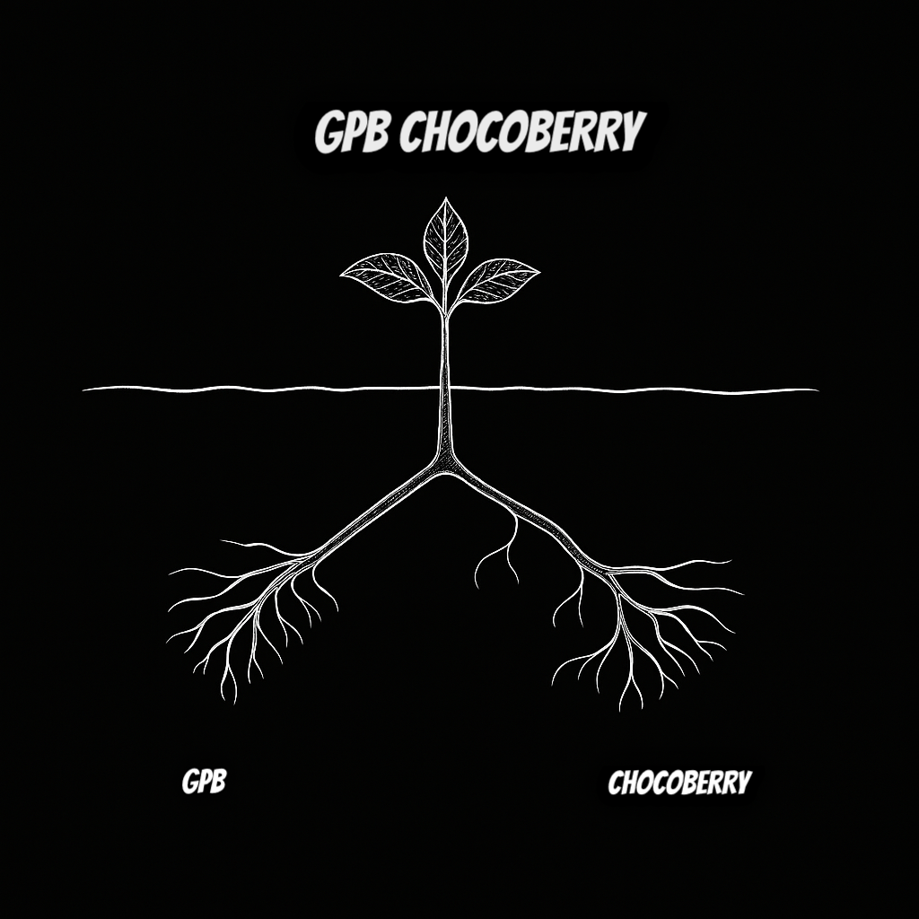 GPB CHOCOBERRY