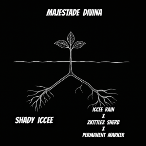 MAJESTADE DIVINA