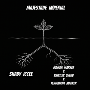 MAJESTADE IMPERIAL