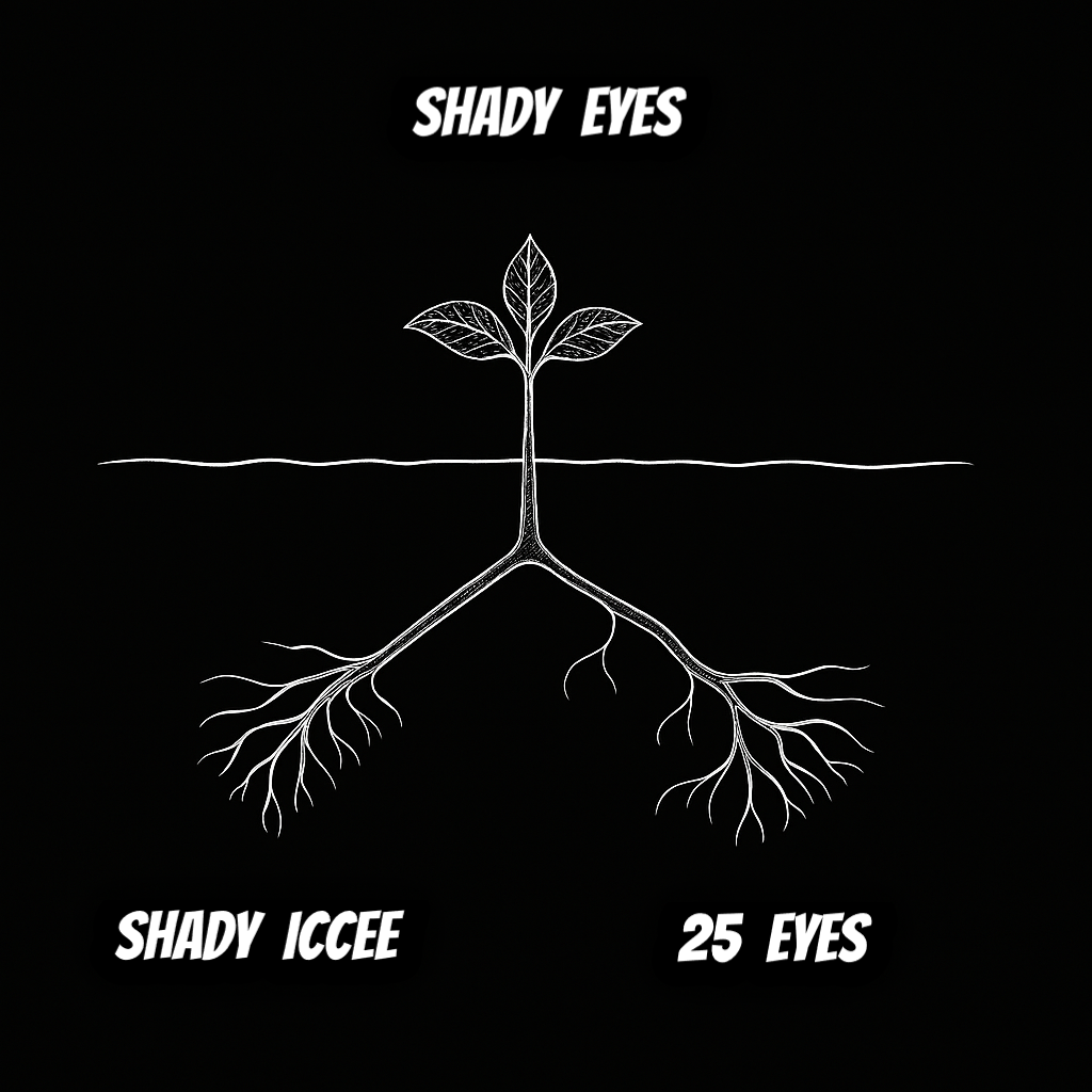 SHADY EYES