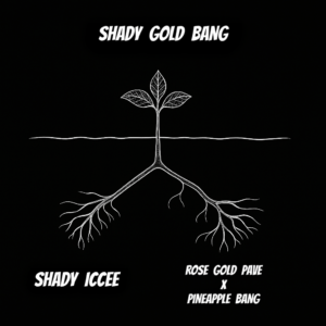 SHADY GOLD BANG