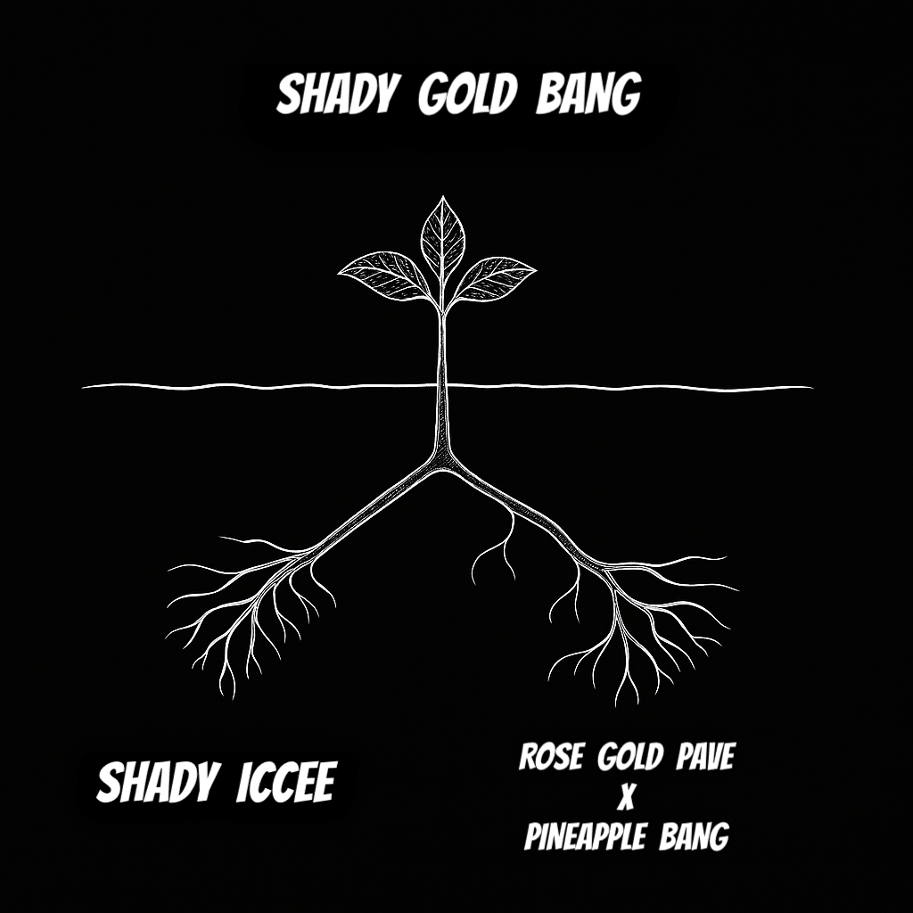 SHADY GOLD BANG