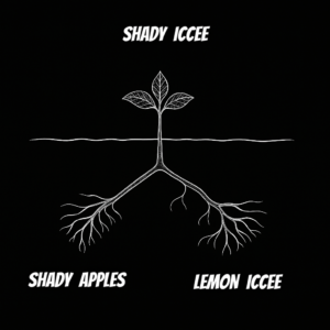 SHADY  ICCEE