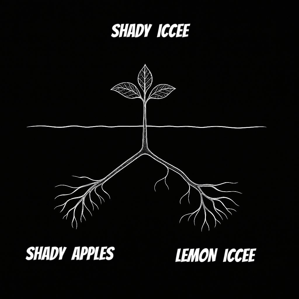 SHADY ICCEE