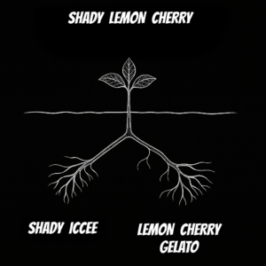 SHADY  LEMON  CHERRY