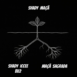SHADY MAÇÃ