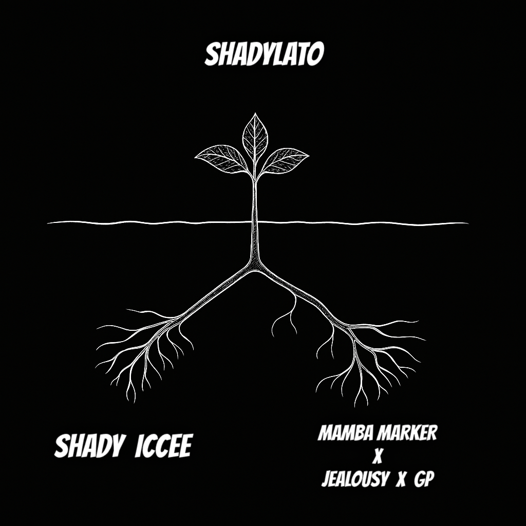 SHADYLATO