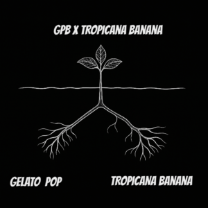 GPB