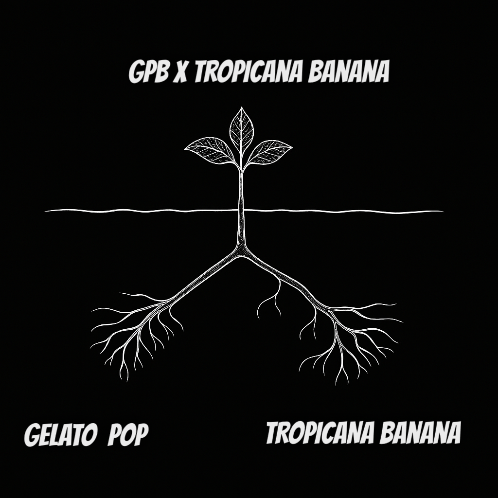 GPB